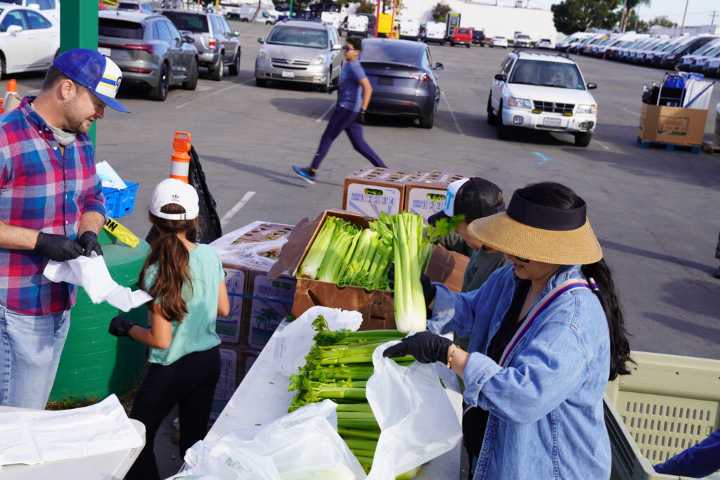 Food Distribution