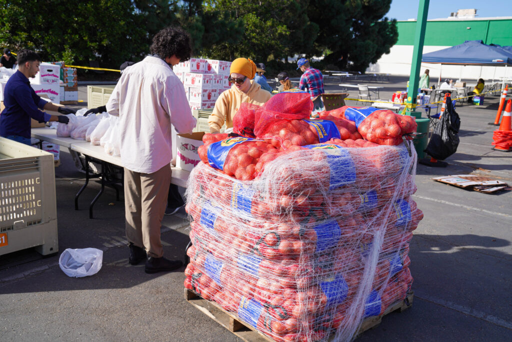 Food Packing